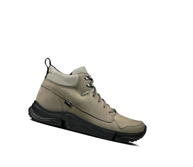 Buty do Chodzenia Clarks Tri Path Hike Tekstylne Męskie Oliwkowe | XKBUTG648
