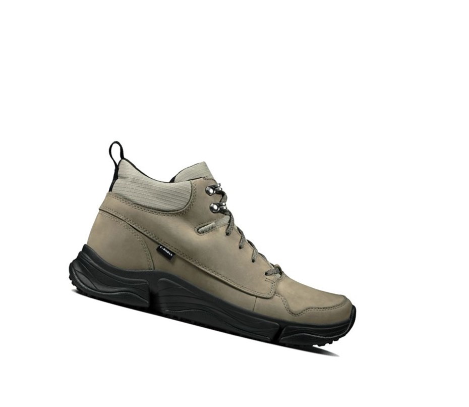 Buty do Chodzenia Clarks Tri Path Hike Tekstylne Męskie Oliwkowe | XKBUTG648